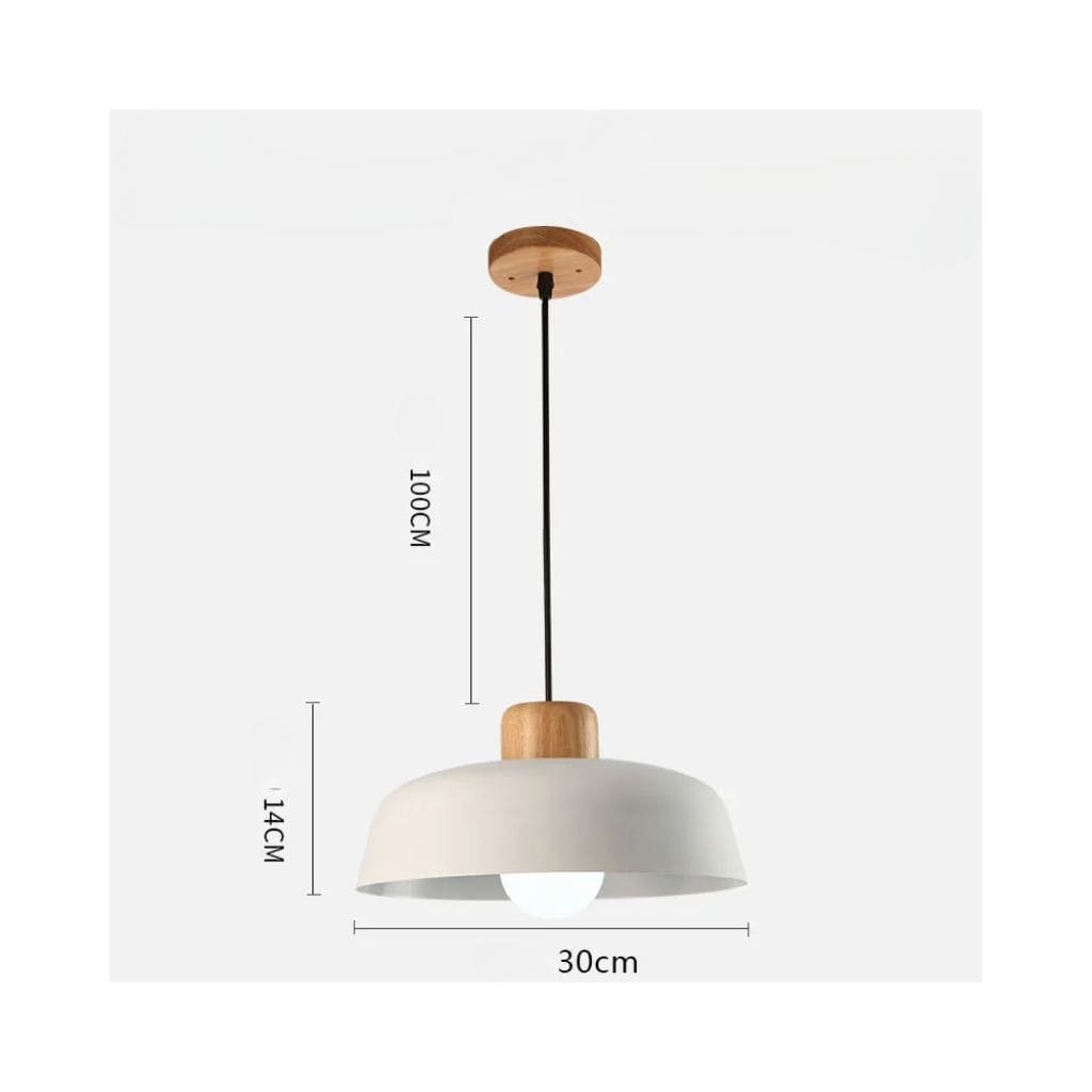 LED Nordic Hanging Light