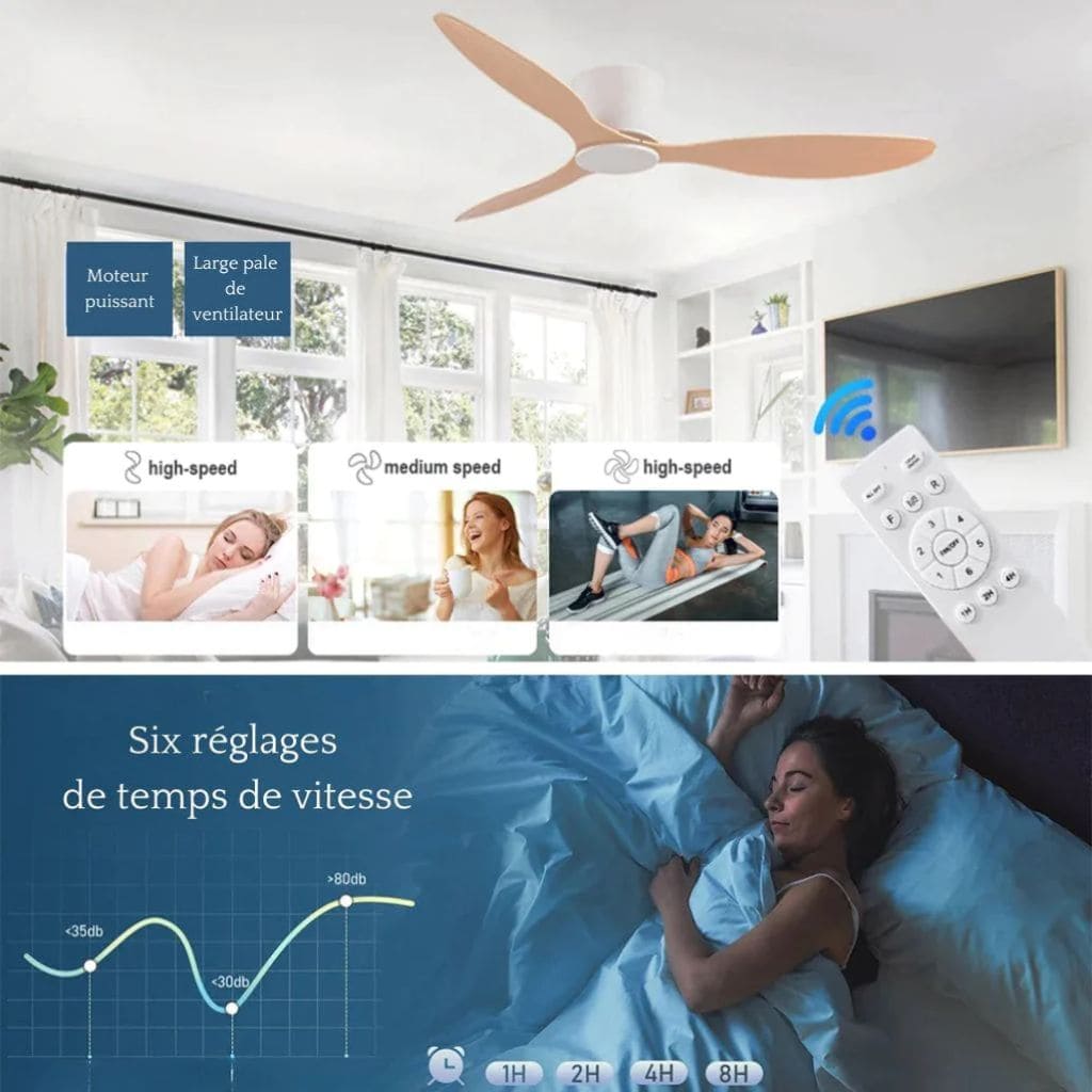 LED modern ceiling fan
