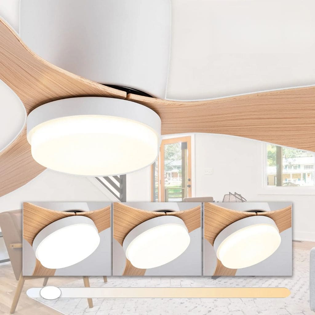 LED modern ceiling fan
