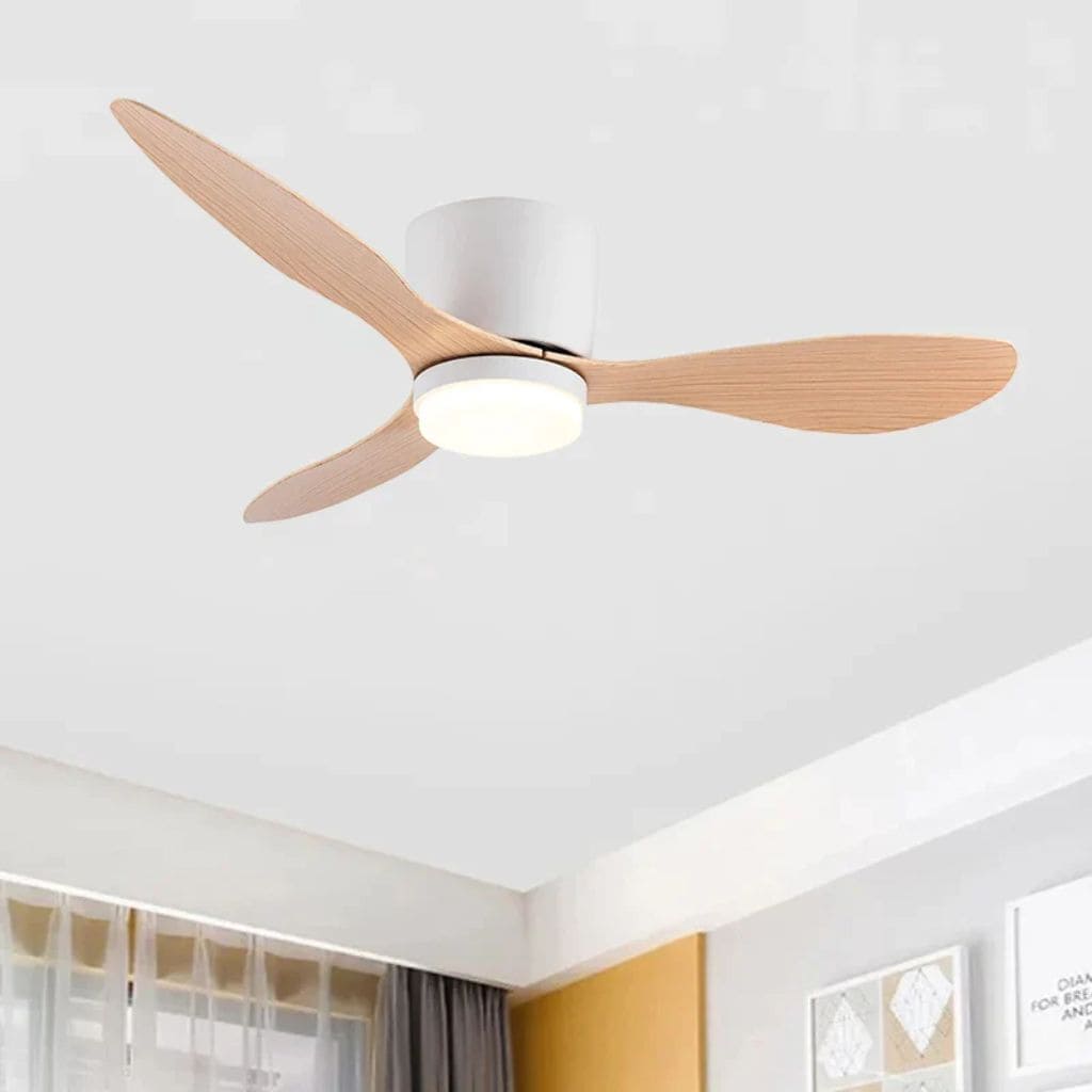 LED modern ceiling fan