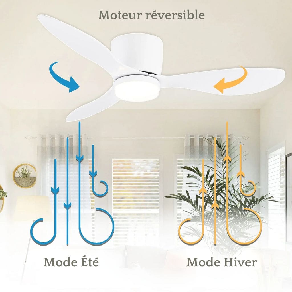 LED modern ceiling fan