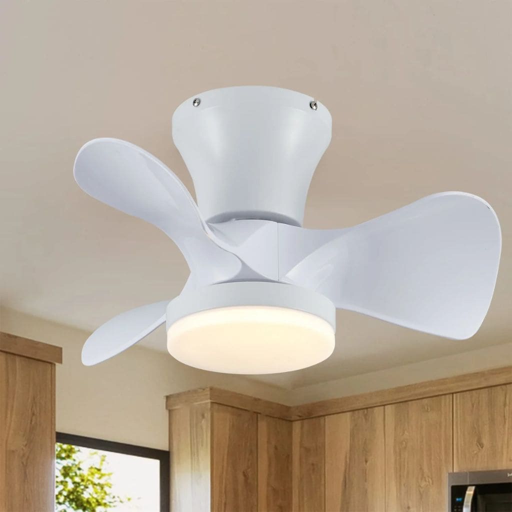 Ceiling fan with LED lights